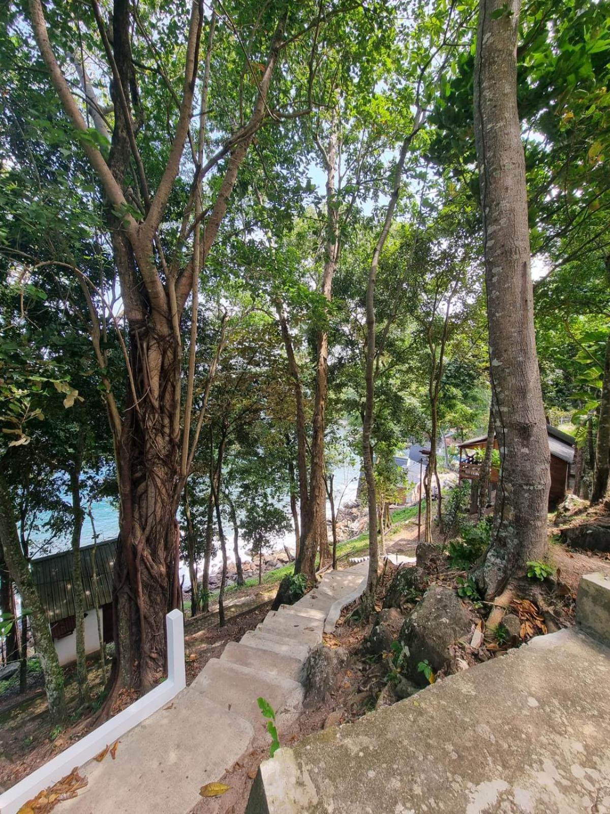 Treetop Guesthouse And Bungalows Sabang  Buitenkant foto