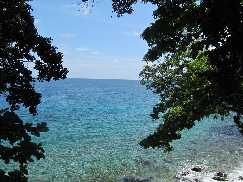 Treetop Guesthouse And Bungalows Sabang  Buitenkant foto
